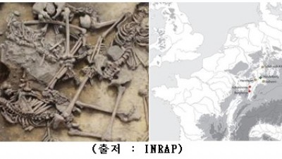 프랑스‘선사시대 알자스(Alsace)지방 집단학살 유골’발견 (2016년)