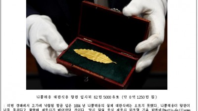 나폴레옹 왕관 황금 월계수 잎 8억원 낙찰