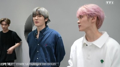 프랑스, TF1 방송 : K-POP 그룹에 대한 부정적인 시선