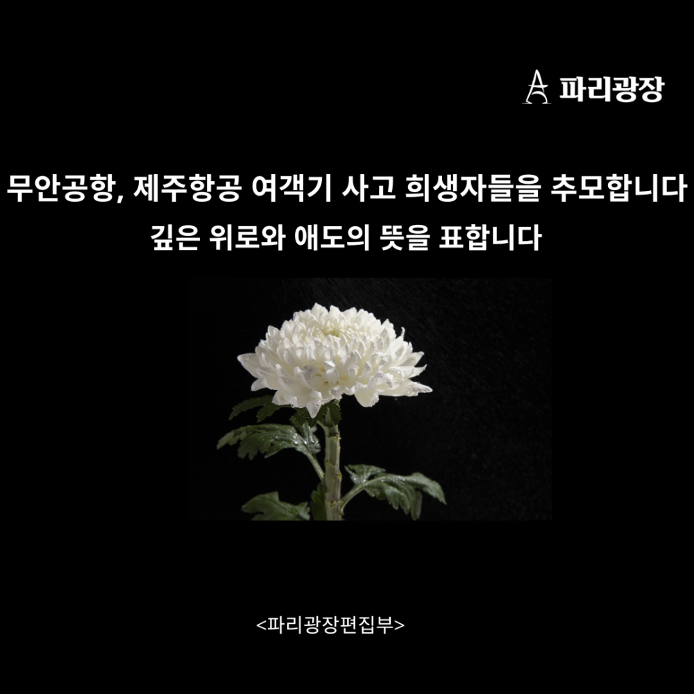 2544d92ef0af417ed4a228b3b78f451c_1735504843_813.png