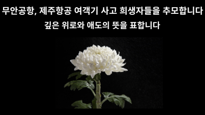 제주항공 여객기 사고 희생자들을 추모합니다.