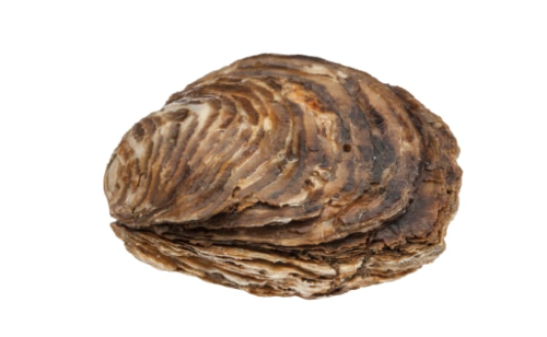 87aedd158eded17c10b7f5fef6938477_1748891014_3767.png