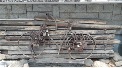 [김영필 교수의 세상 읽기] -  '메멘토 모리(죽음을 기억하라)'